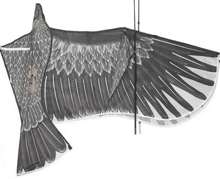 Уникален хвърчило - летящ орел